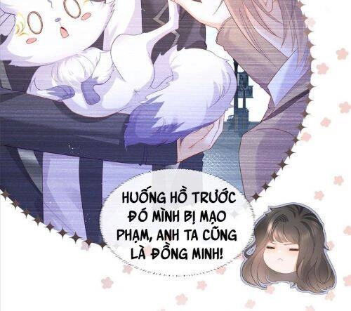 Boss Sát Thủ Dưỡng Hồ Yêu Chapter 7 - 41