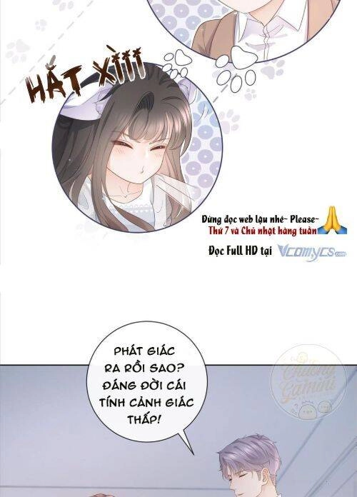 Boss Sát Thủ Dưỡng Hồ Yêu Chapter 8 - 10