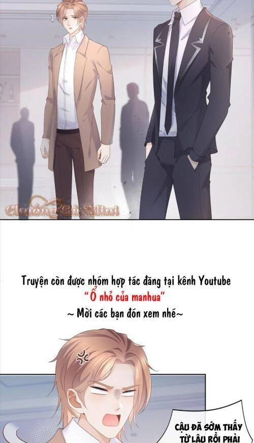 Boss Sát Thủ Dưỡng Hồ Yêu Chapter 8 - 11