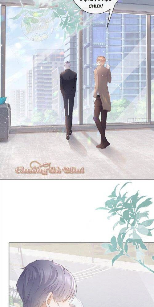 Boss Sát Thủ Dưỡng Hồ Yêu Chapter 8 - 21