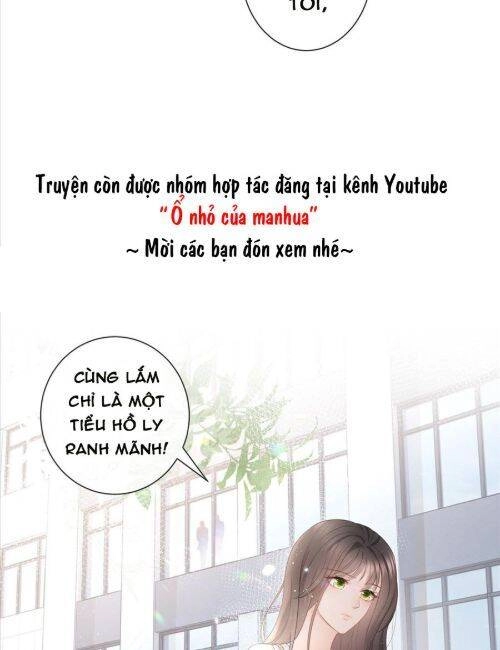 Boss Sát Thủ Dưỡng Hồ Yêu Chapter 8 - 23