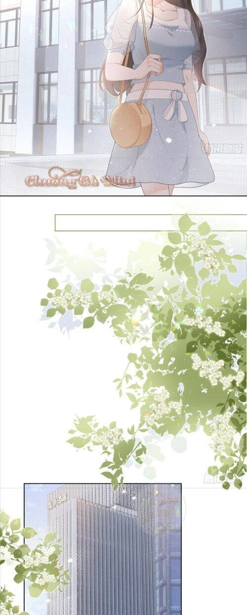 Boss Sát Thủ Dưỡng Hồ Yêu Chapter 8 - 24