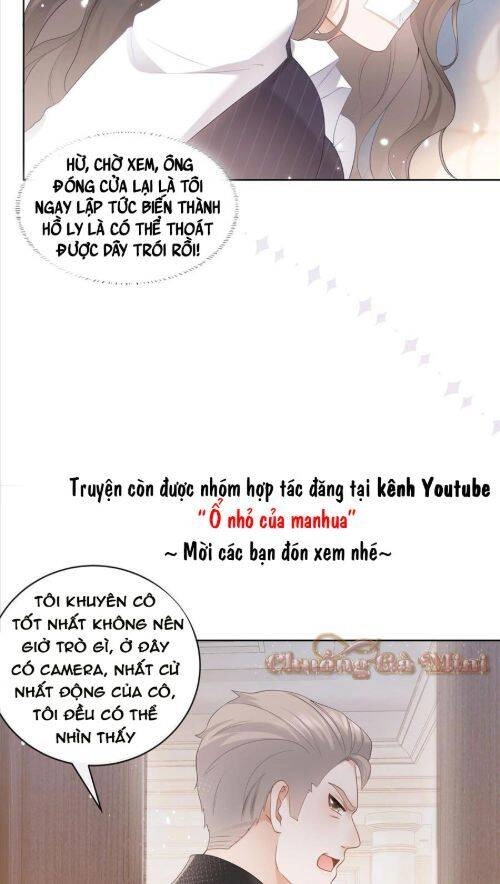 Boss Sát Thủ Dưỡng Hồ Yêu Chapter 9 - 12