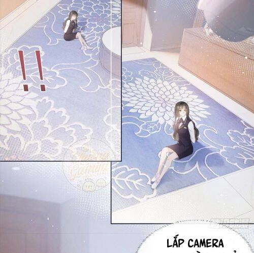 Boss Sát Thủ Dưỡng Hồ Yêu Chapter 9 - 15