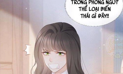 Boss Sát Thủ Dưỡng Hồ Yêu Chapter 9 - 16