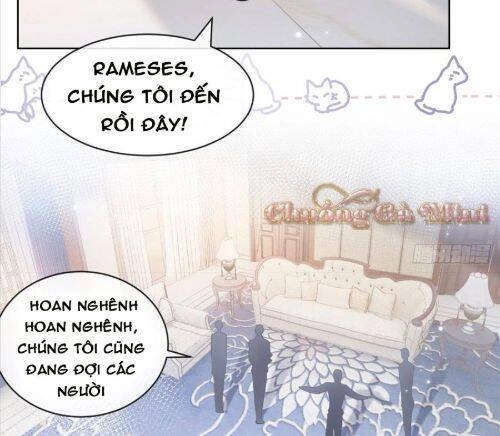 Boss Sát Thủ Dưỡng Hồ Yêu Chapter 9 - 24