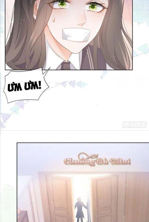 Boss Sát Thủ Dưỡng Hồ Yêu Chapter 9 - 46