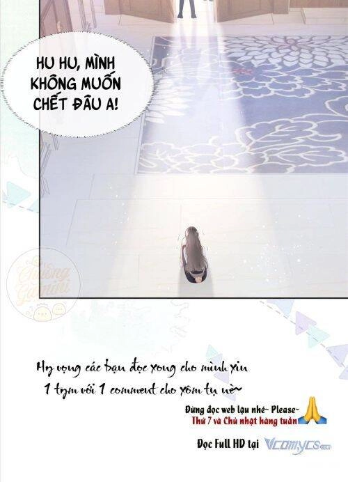 Boss Sát Thủ Dưỡng Hồ Yêu Chapter 9 - 47