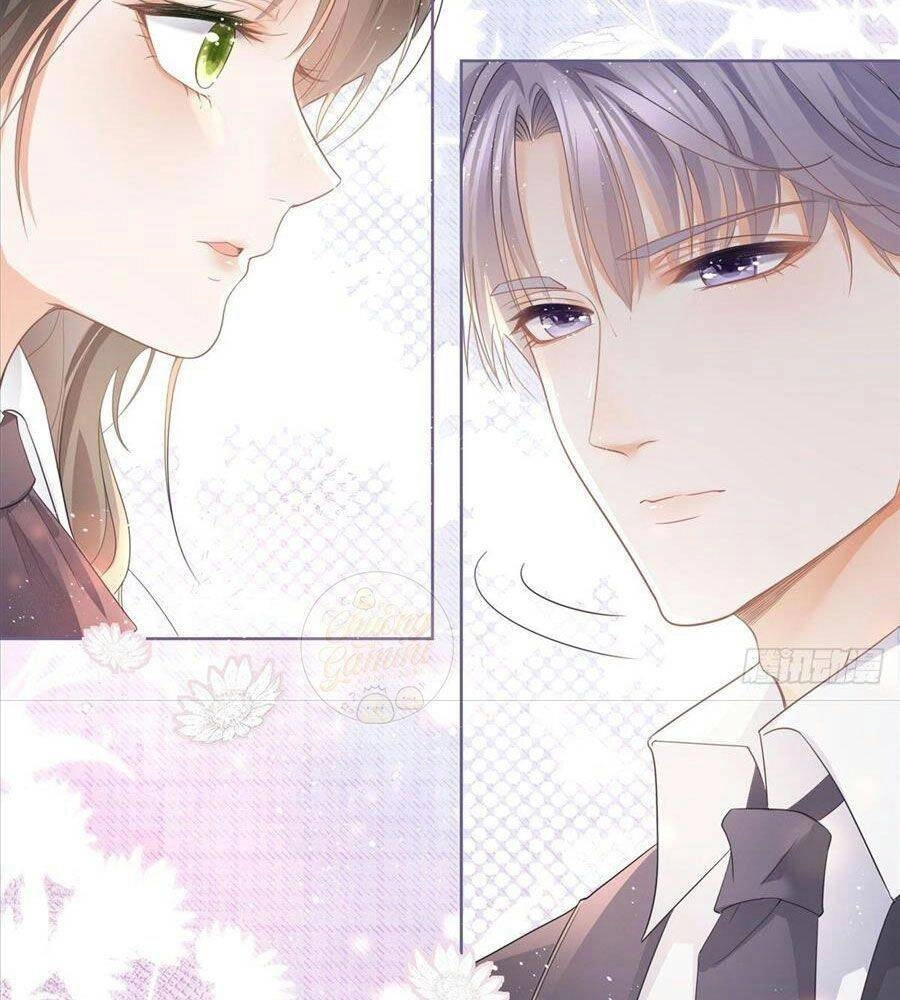 Boss Sát Thủ Dưỡng Hồ Yêu Chapter 11 - 8