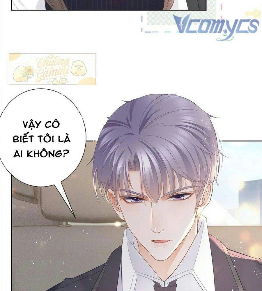Boss Sát Thủ Dưỡng Hồ Yêu Chapter 11 - 15