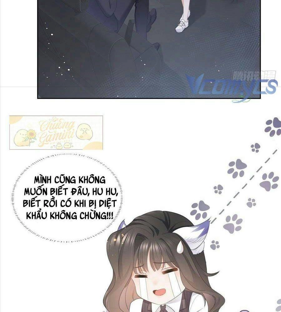Boss Sát Thủ Dưỡng Hồ Yêu Chapter 11 - 19
