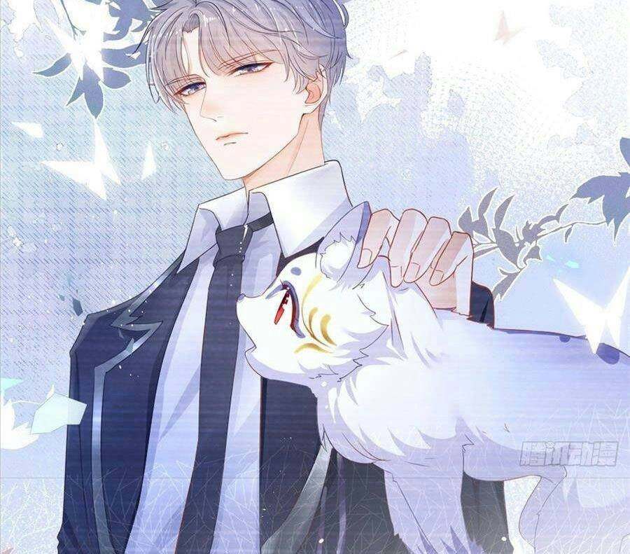 Boss Sát Thủ Dưỡng Hồ Yêu Chapter 11 - 26