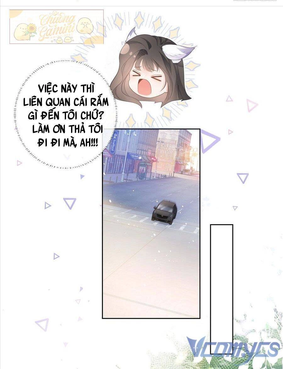 Boss Sát Thủ Dưỡng Hồ Yêu Chapter 11 - 53