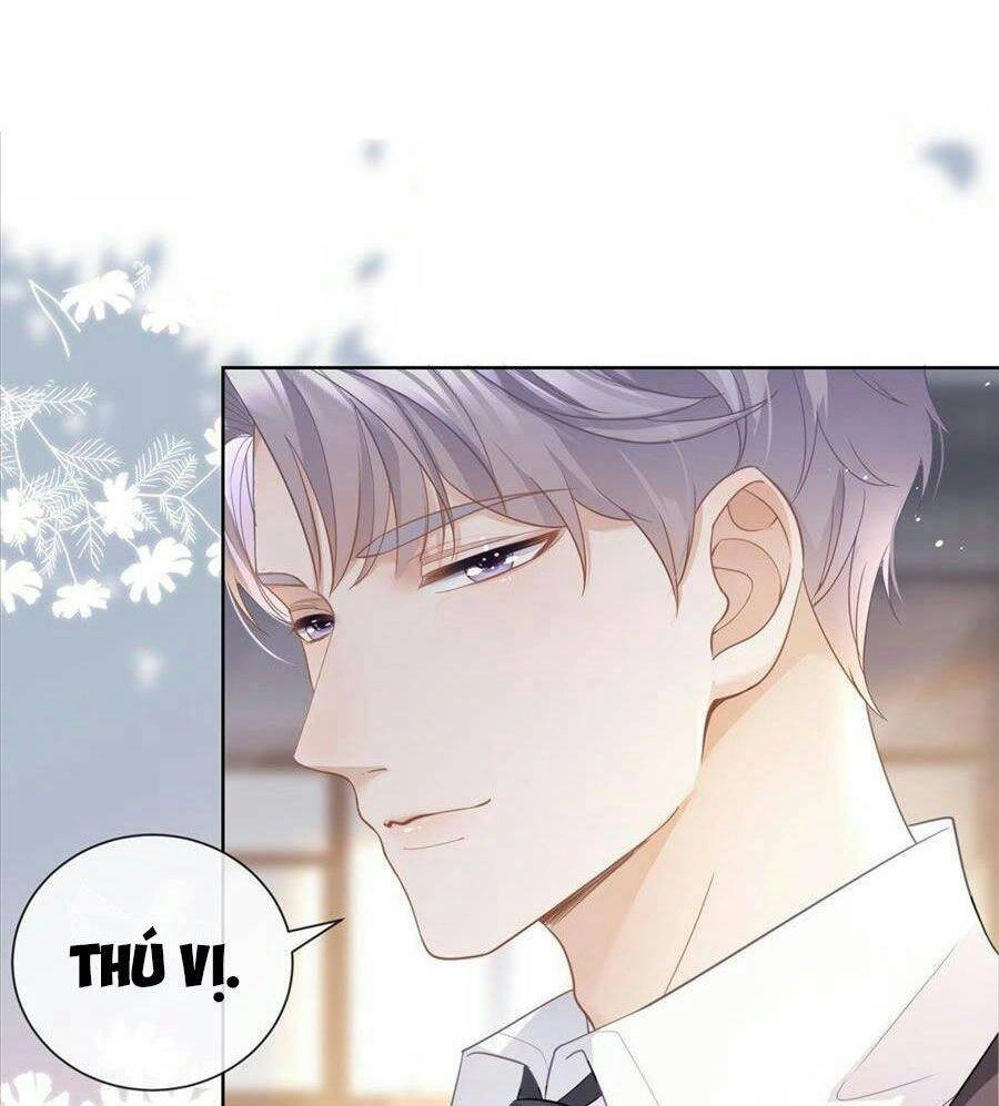 Boss Sát Thủ Dưỡng Hồ Yêu Chapter 12 - 41