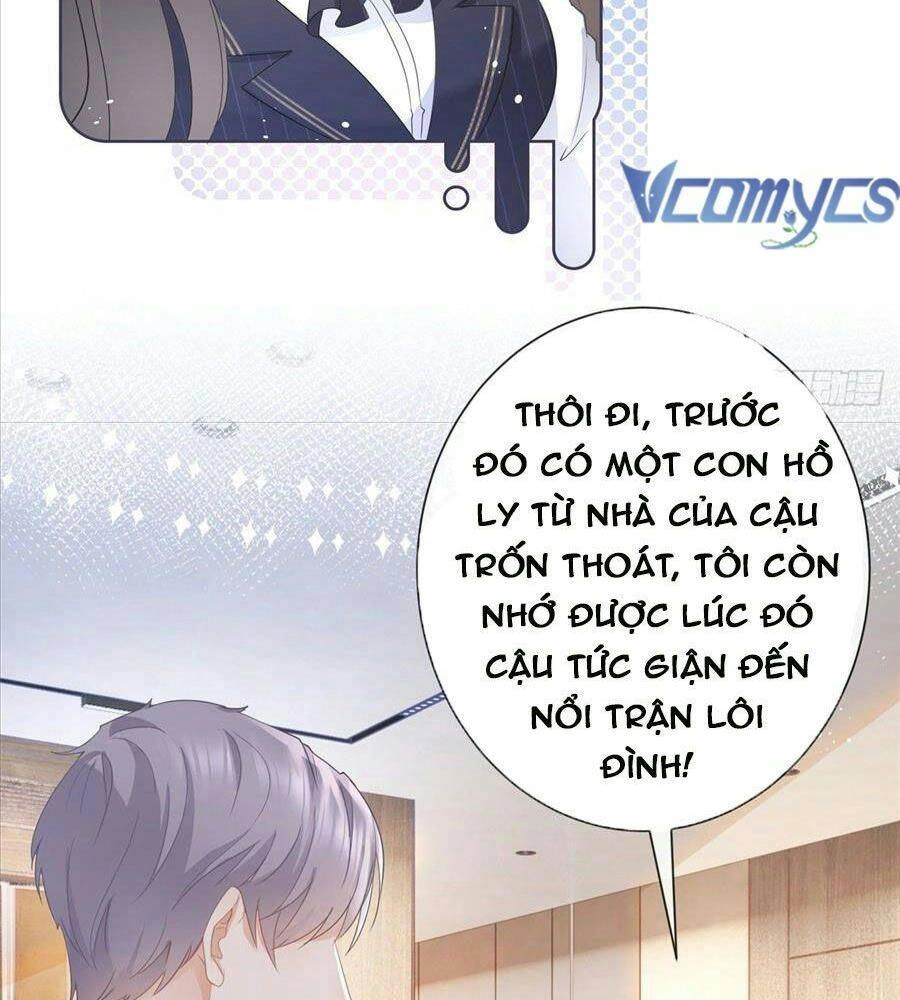 Boss Sát Thủ Dưỡng Hồ Yêu Chapter 12 - 48