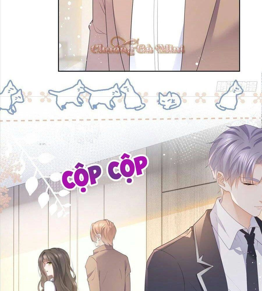 Boss Sát Thủ Dưỡng Hồ Yêu Chapter 12 - 59