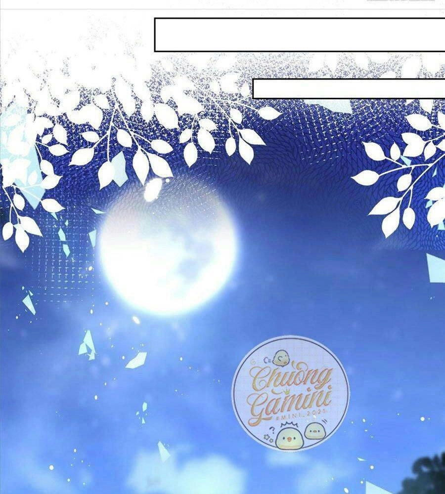 Boss Sát Thủ Dưỡng Hồ Yêu Chapter 13 - 15