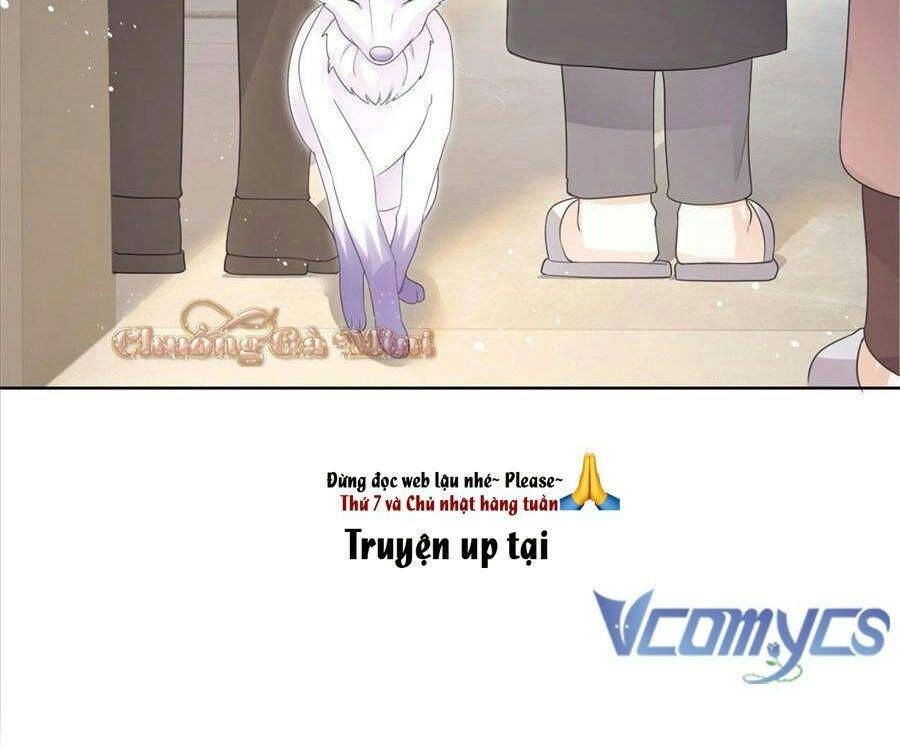 Boss Sát Thủ Dưỡng Hồ Yêu Chapter 13 - 33