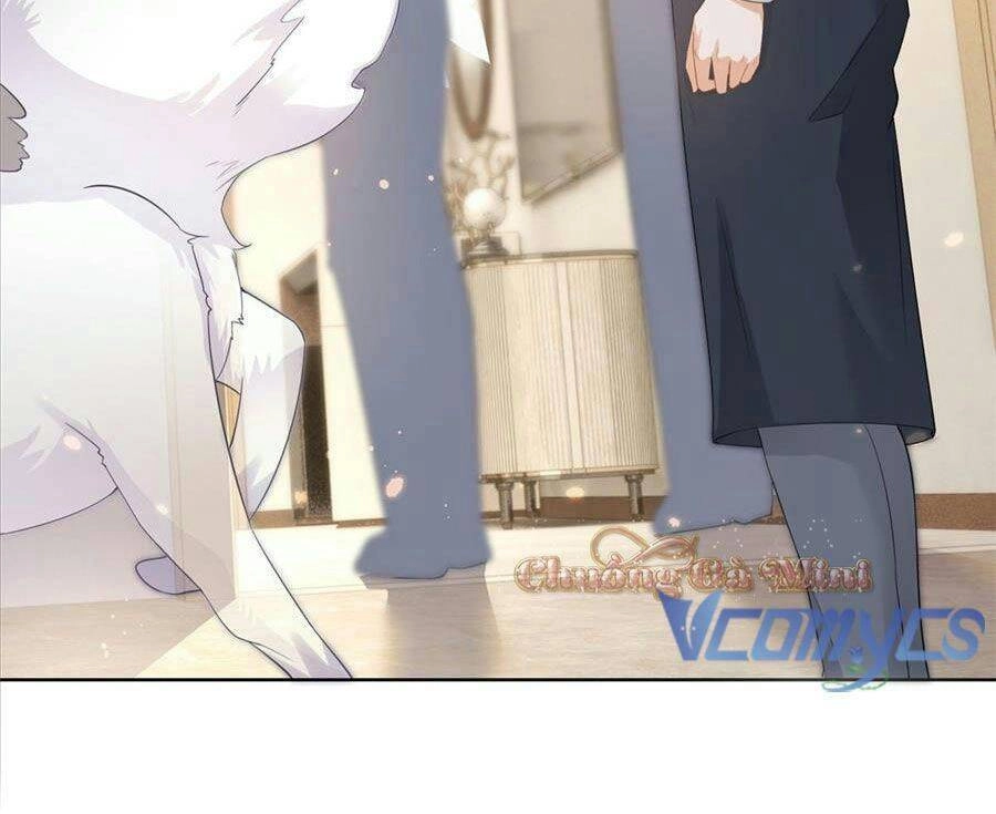 Boss Sát Thủ Dưỡng Hồ Yêu Chapter 13 - 36