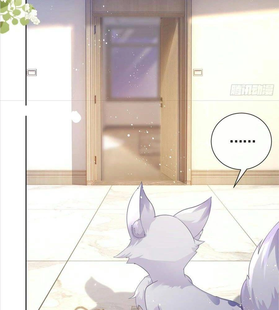 Boss Sát Thủ Dưỡng Hồ Yêu Chapter 13 - 48