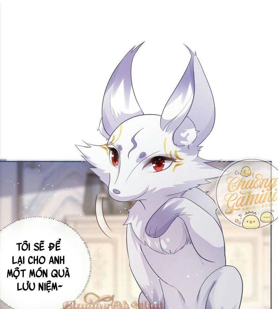 Boss Sát Thủ Dưỡng Hồ Yêu Chapter 13 - 51