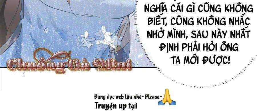 Boss Sát Thủ Dưỡng Hồ Yêu Chapter 14 - 21