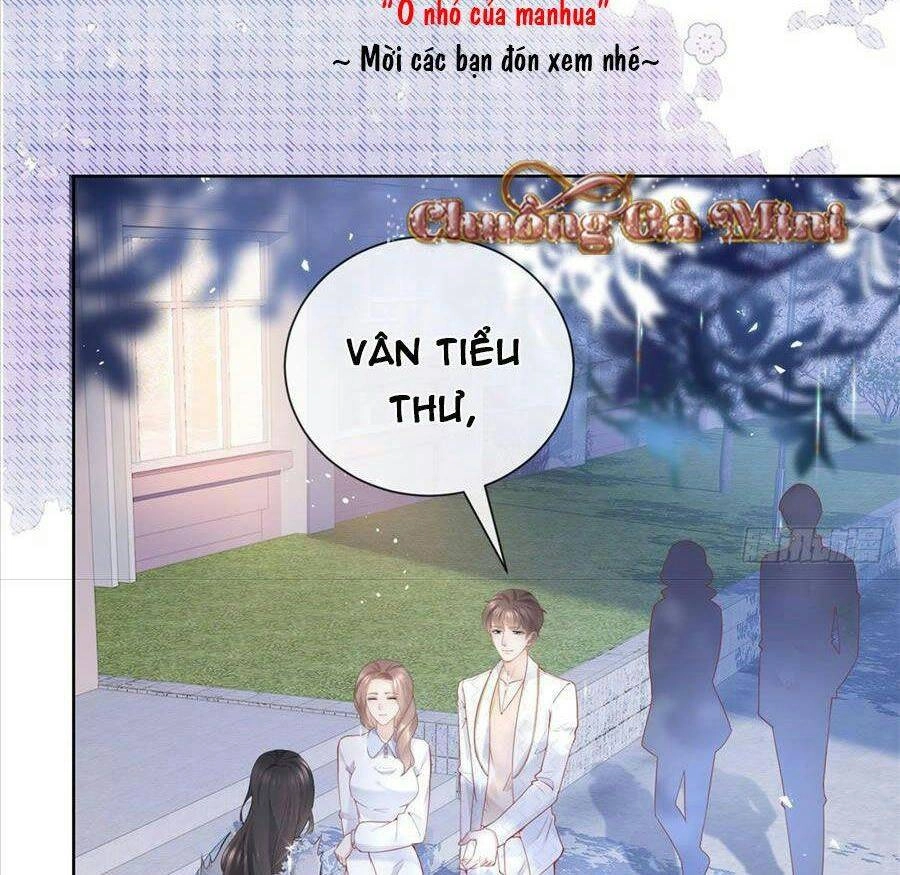 Boss Sát Thủ Dưỡng Hồ Yêu Chapter 14 - 33