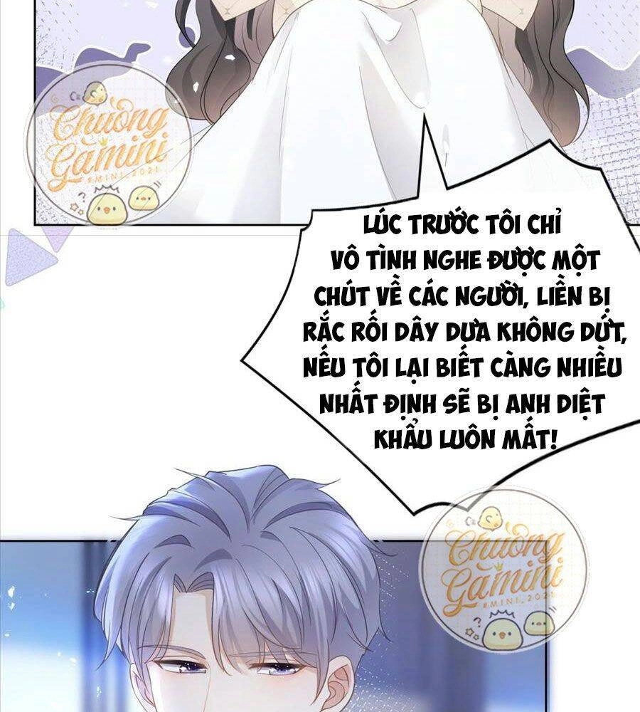 Boss Sát Thủ Dưỡng Hồ Yêu Chapter 15 - 28