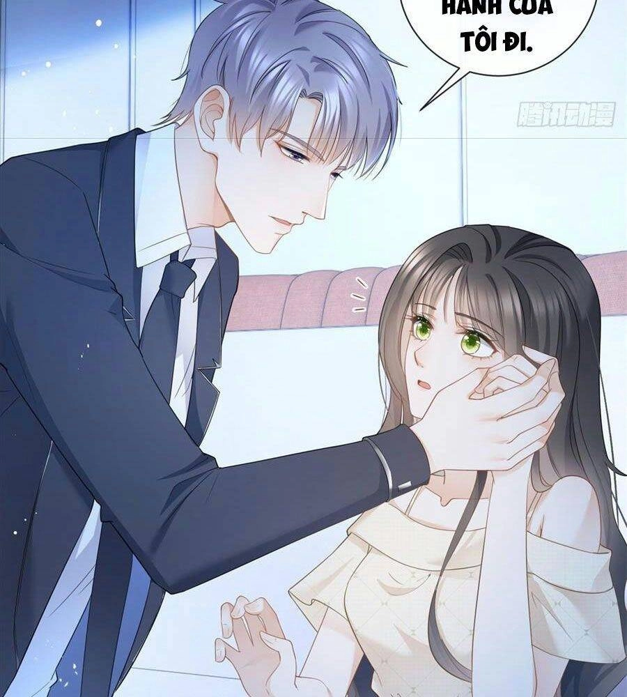 Boss Sát Thủ Dưỡng Hồ Yêu Chapter 15 - 31