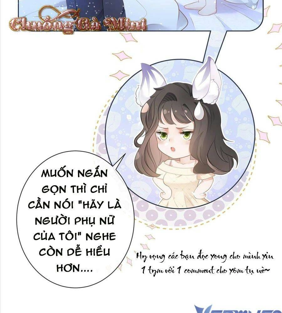 Boss Sát Thủ Dưỡng Hồ Yêu Chapter 15 - 39