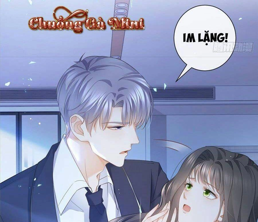 Boss Sát Thủ Dưỡng Hồ Yêu Chapter 16 - 21