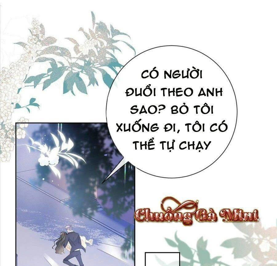 Boss Sát Thủ Dưỡng Hồ Yêu Chapter 16 - 31