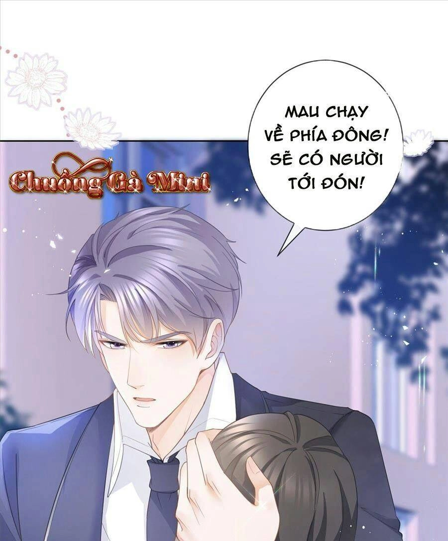 Boss Sát Thủ Dưỡng Hồ Yêu Chapter 16 - 51