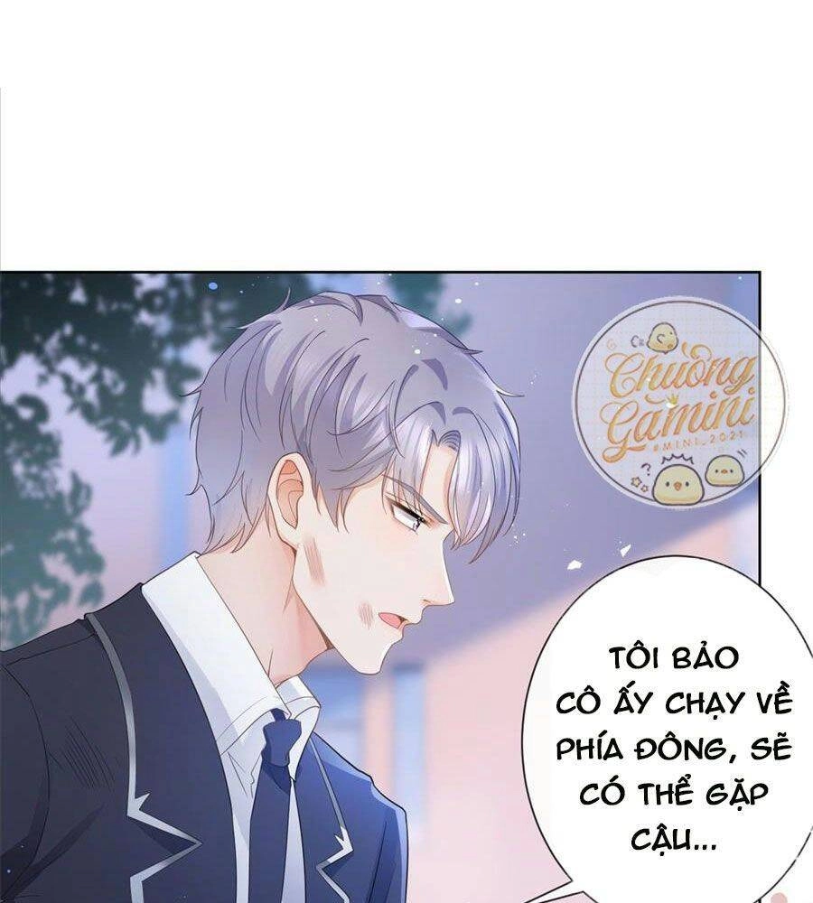 Boss Sát Thủ Dưỡng Hồ Yêu Chapter 17 - 33