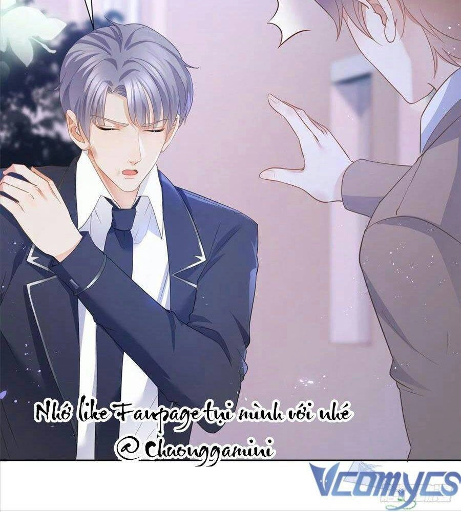 Boss Sát Thủ Dưỡng Hồ Yêu Chapter 17 - 36