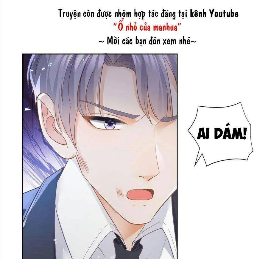 Boss Sát Thủ Dưỡng Hồ Yêu Chapter 17 - 41