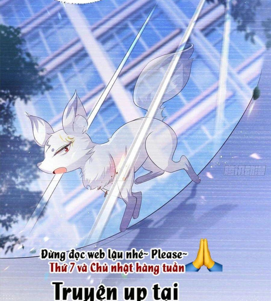 Boss Sát Thủ Dưỡng Hồ Yêu Chapter 17 - 61