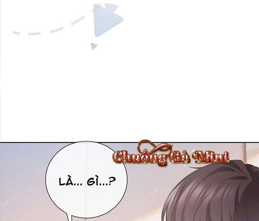 Boss Sát Thủ Dưỡng Hồ Yêu Chapter 18 - 31