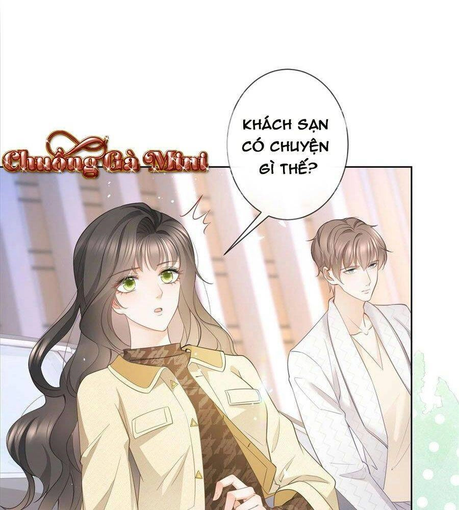 Boss Sát Thủ Dưỡng Hồ Yêu Chapter 19 - 38