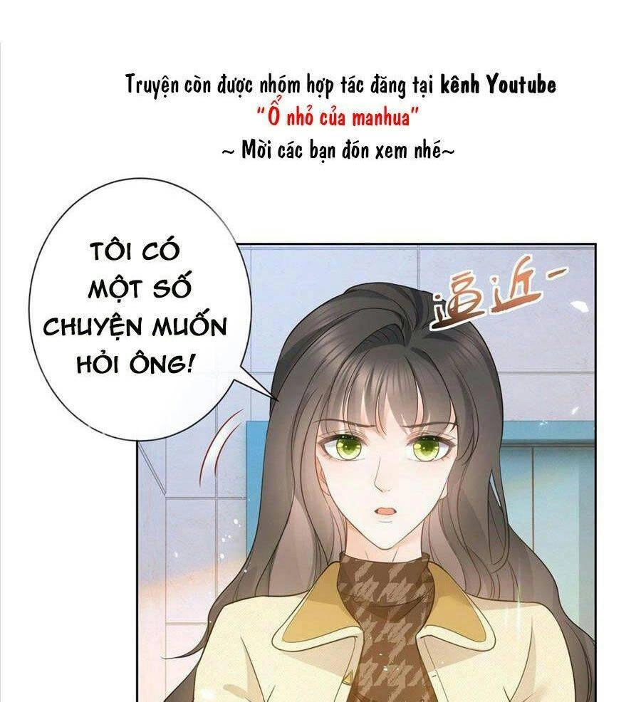 Boss Sát Thủ Dưỡng Hồ Yêu Chapter 20 - 40