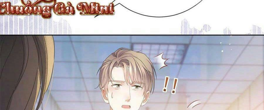 Boss Sát Thủ Dưỡng Hồ Yêu Chapter 20 - 47