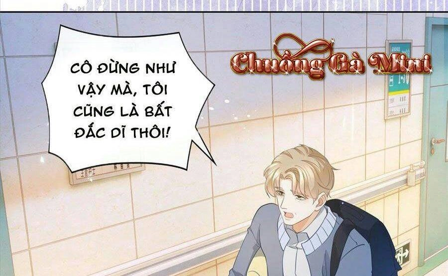 Boss Sát Thủ Dưỡng Hồ Yêu Chapter 20 - 49