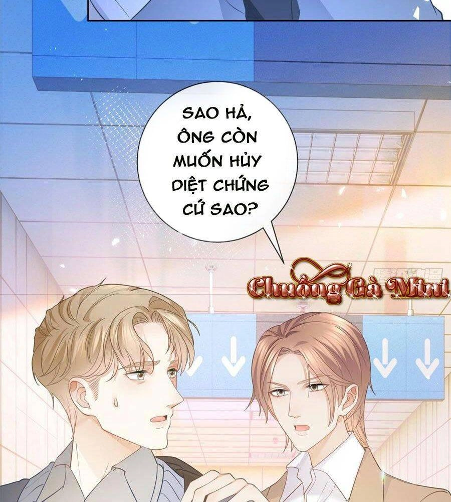 Boss Sát Thủ Dưỡng Hồ Yêu Chapter 20 - 52