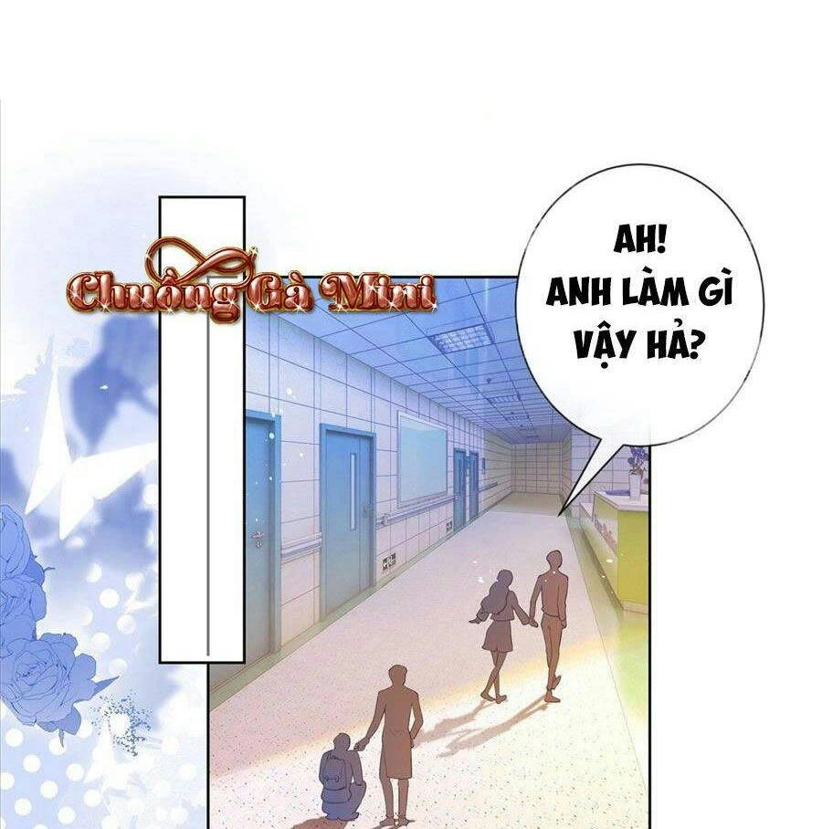 Boss Sát Thủ Dưỡng Hồ Yêu Chapter 20 - 68