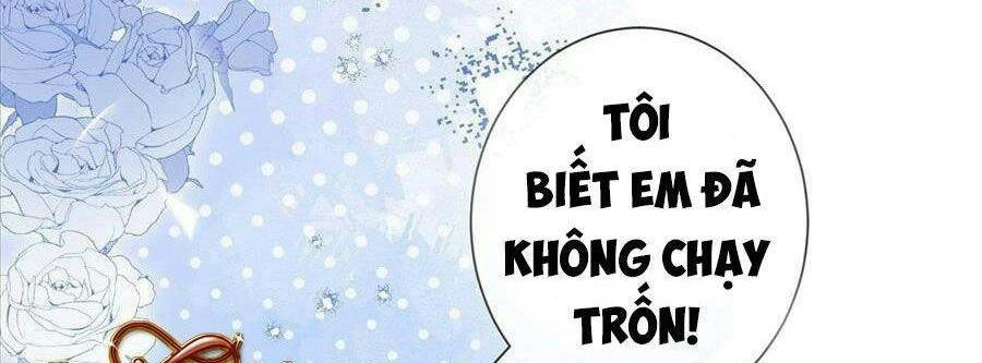 Boss Sát Thủ Dưỡng Hồ Yêu Chapter 20 - 70