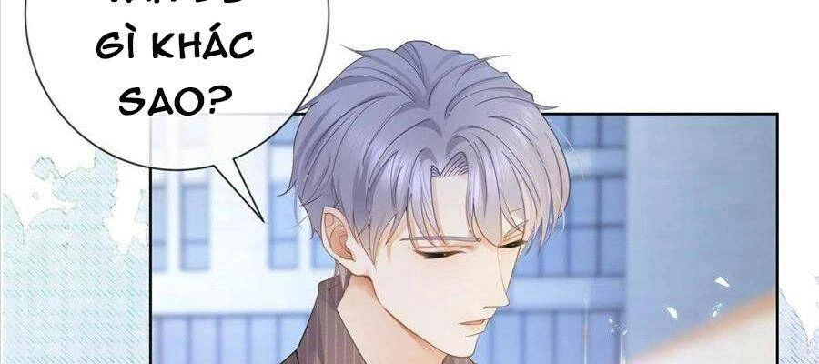 Boss Sát Thủ Dưỡng Hồ Yêu Chapter 21 - 36