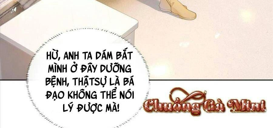 Boss Sát Thủ Dưỡng Hồ Yêu Chapter 21 - 117