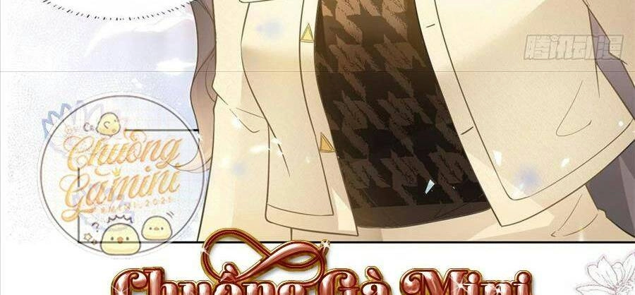 Boss Sát Thủ Dưỡng Hồ Yêu Chapter 21 - 141