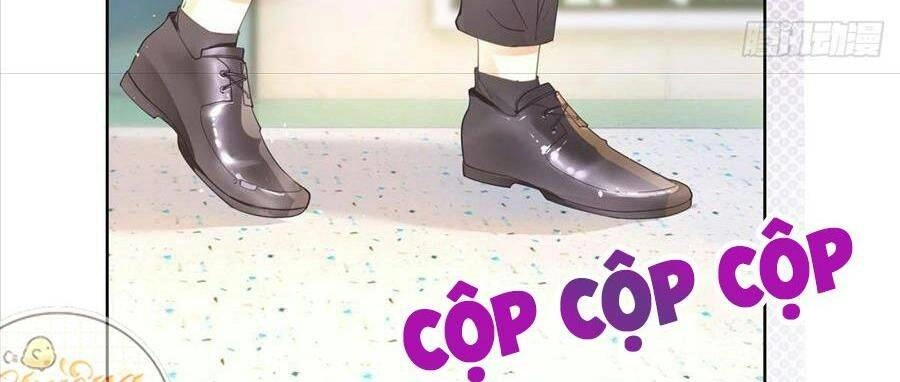 Boss Sát Thủ Dưỡng Hồ Yêu Chapter 22 - 25