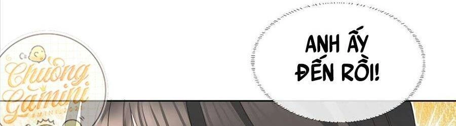 Boss Sát Thủ Dưỡng Hồ Yêu Chapter 22 - 28